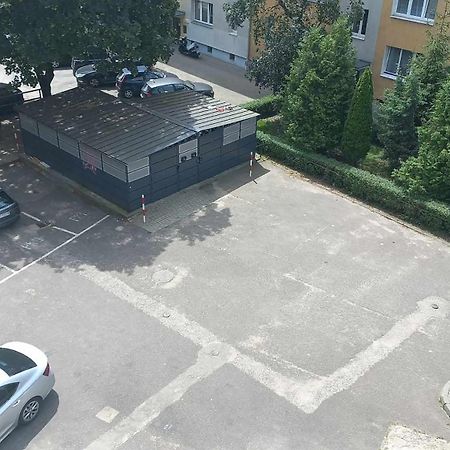 Domiapart Stary Toruń Esterno foto
